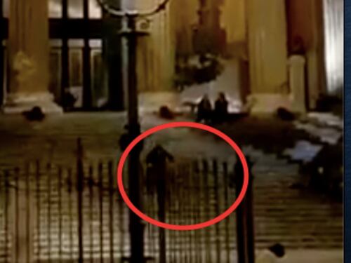 Sulla scalinata del teatro Massimo in mountain bike: il video che indigna