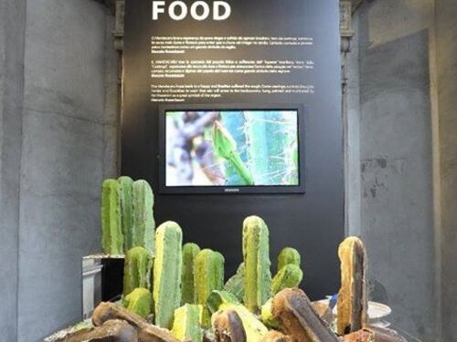 Il design food brasiliano sbarca al Festival di Cannes