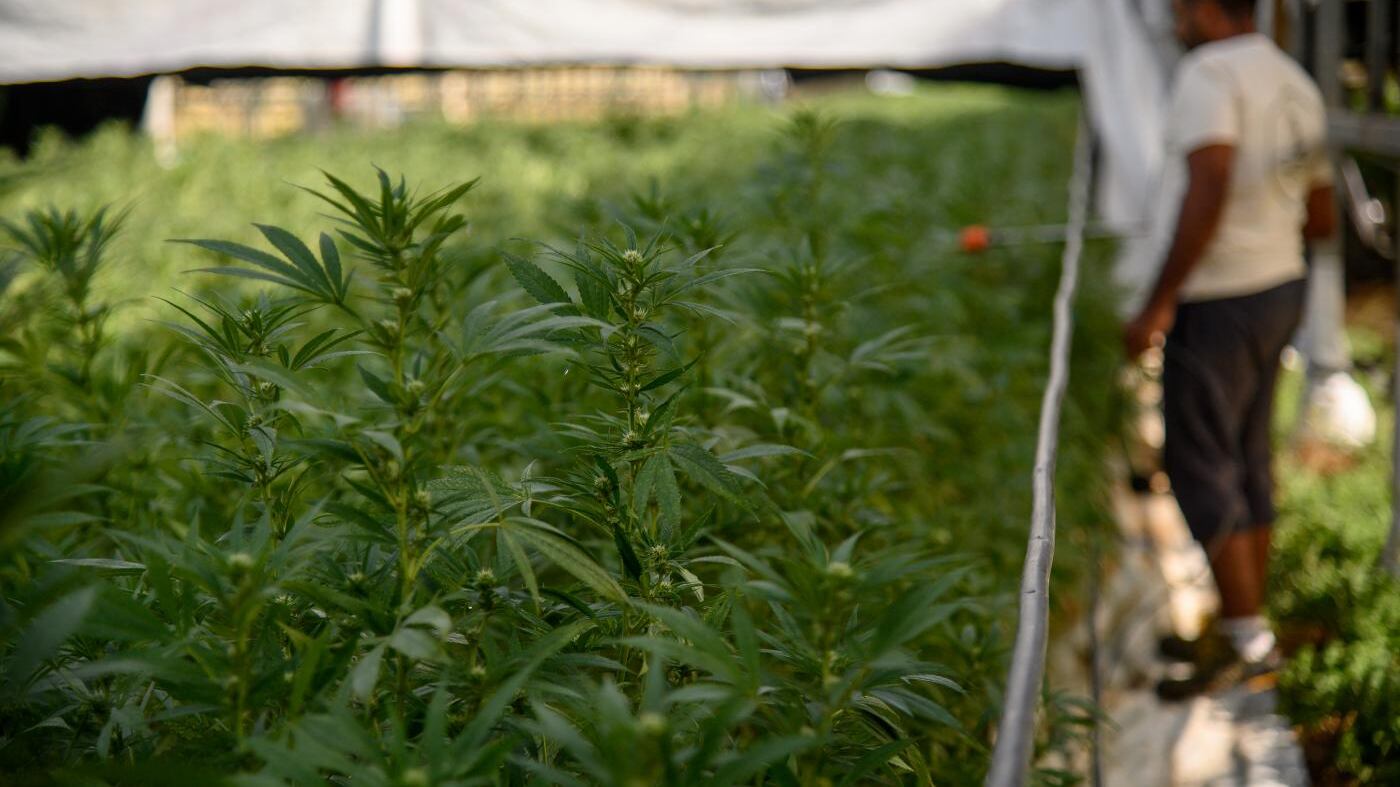 Milano, fuma marijuana light e si lancia dal balcone: morto ragazzo di 23 anni