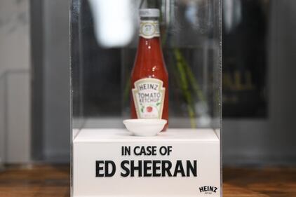 Inghilterra, la mostra "Ed Sheeran" 2