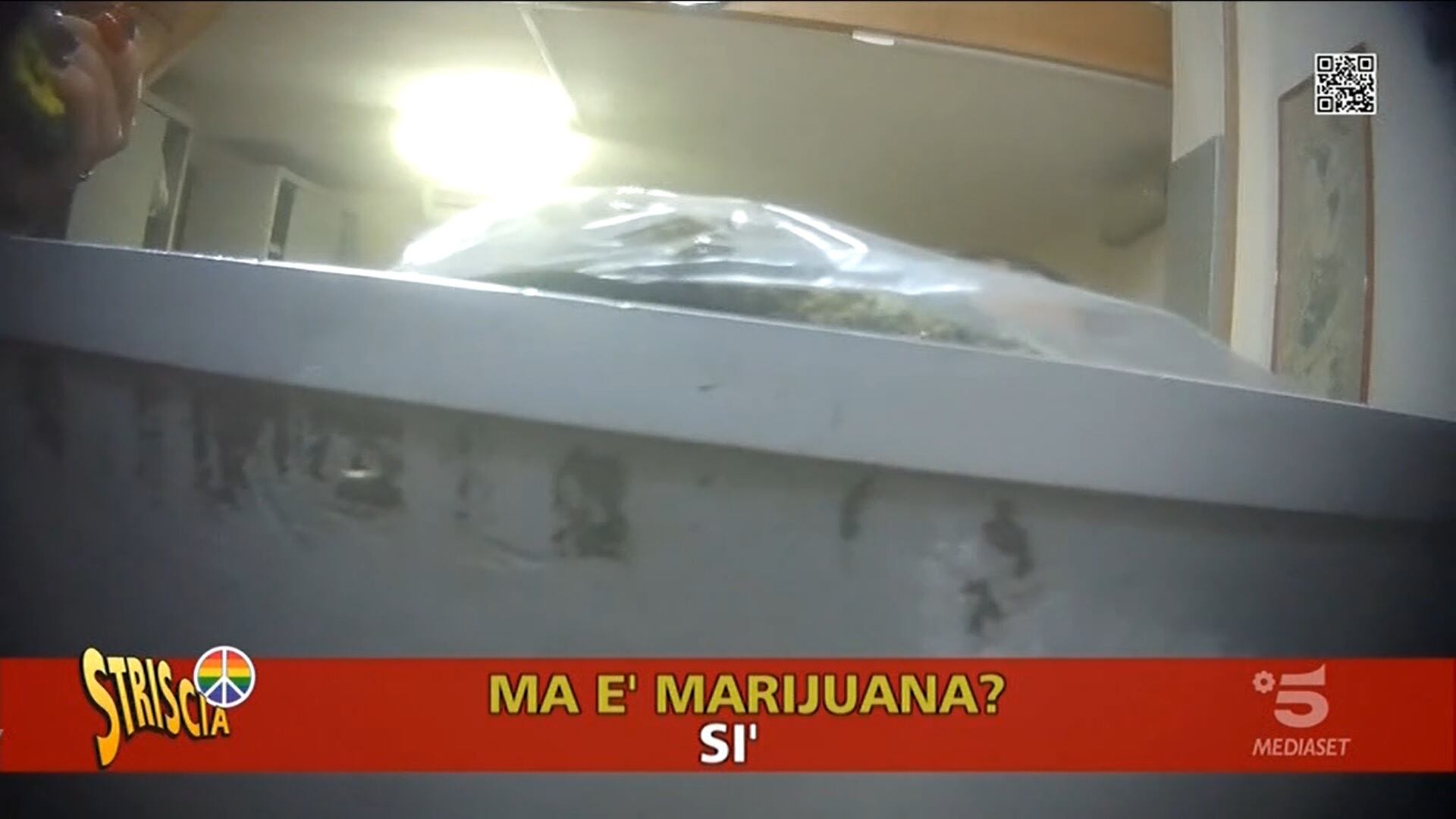 Droga e materiale esplosivo, spedizioni illecite scoperte da Striscia la Notizia
