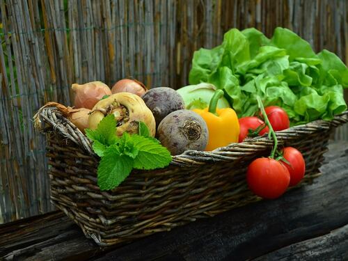 Se i cibi biologici sono a km zero apportano maggiori benefici