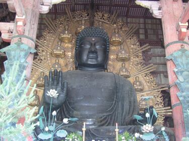 Nara, la perla di Buddha custodita dai cervi 5