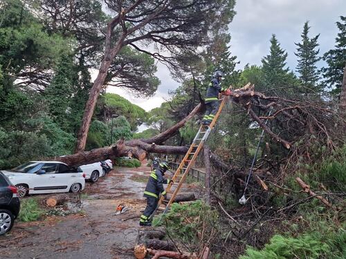Pioggia, alberi caduti e venti a 130 all'ora. Romagna sotto choc: "Come un uragano"