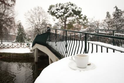 Bologna sotto la neve, le immagini 4