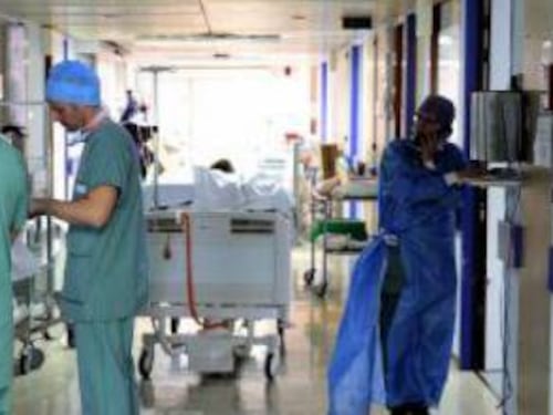 Scabbia, è boom di casi in provincia di Modena
