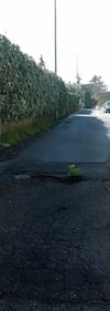 Fiori nelle buche, la protesta nei municipi romani 4