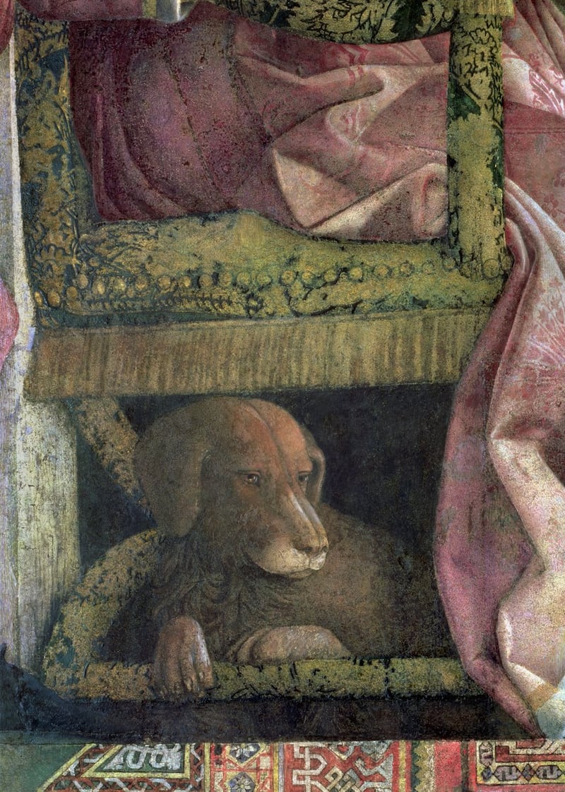 Il cane di Ludovico Gonzaga (dipinto di Mantegna)
