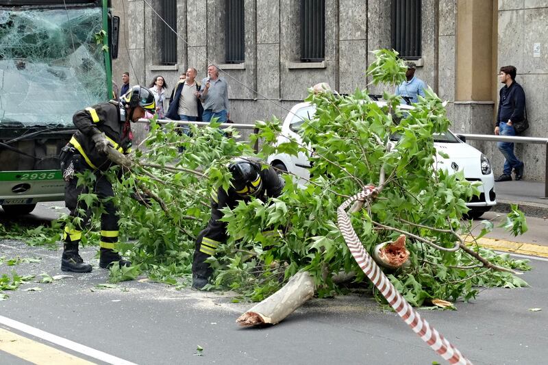 Milano, albero cade sull'autobus 4