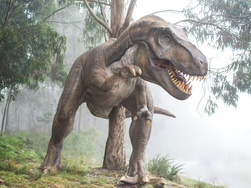I dinosauri comparvero ben prima del previsto: cosa ha scoperto la Scienza