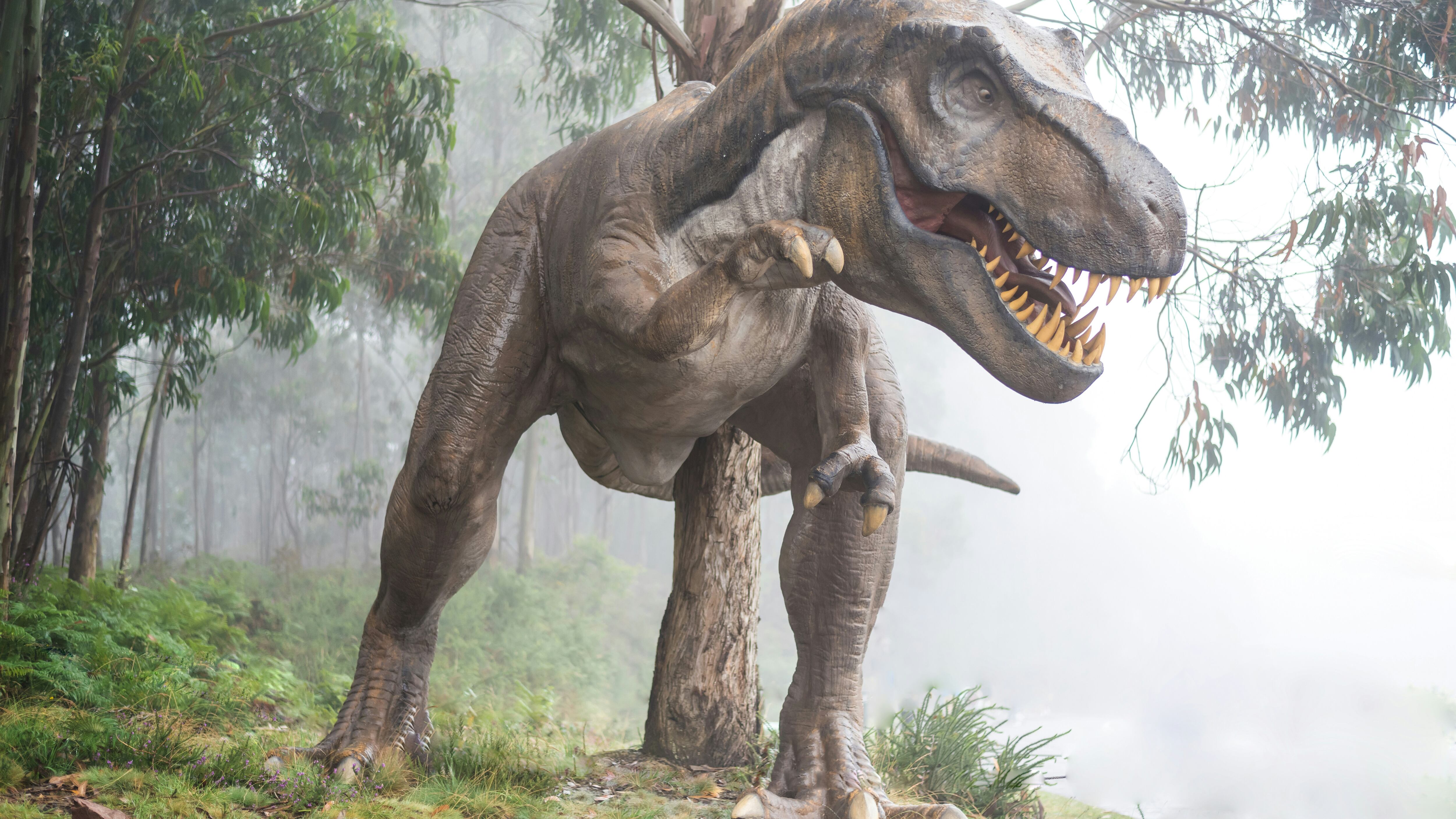 I dinosauri comparvero ben prima del previsto: cosa ha scoperto la Scienza