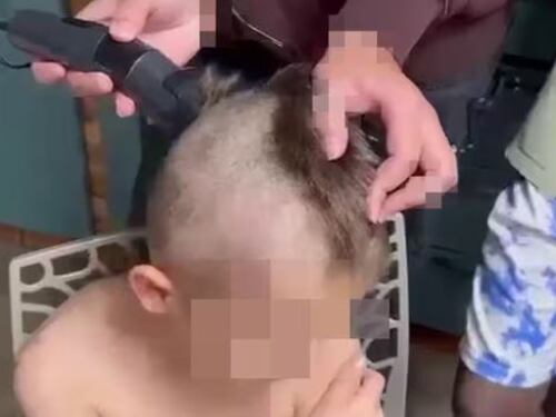 A 8 anni rasato come una pecora, choc in Francia: cosa è successo