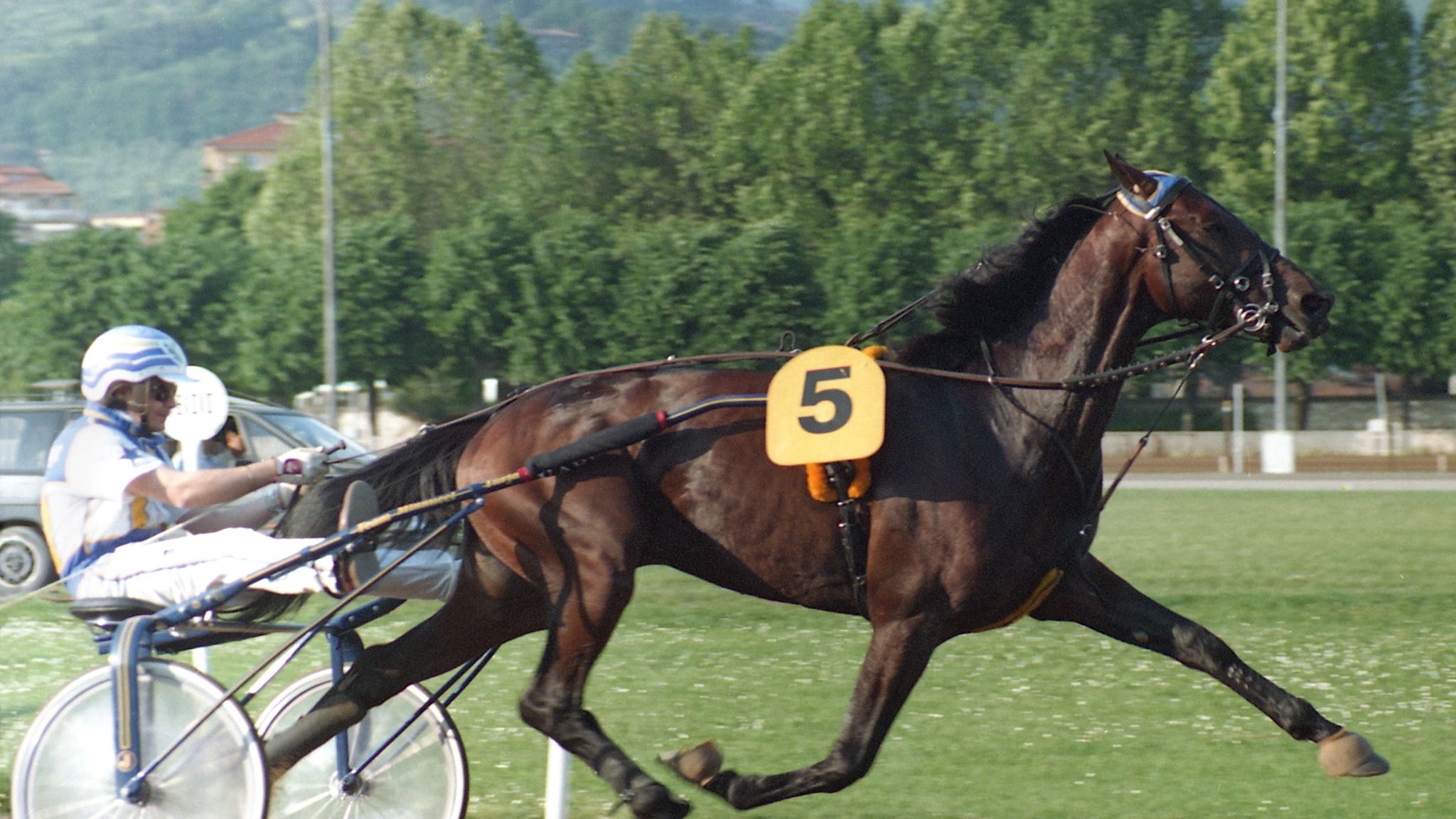 Snai Varenne