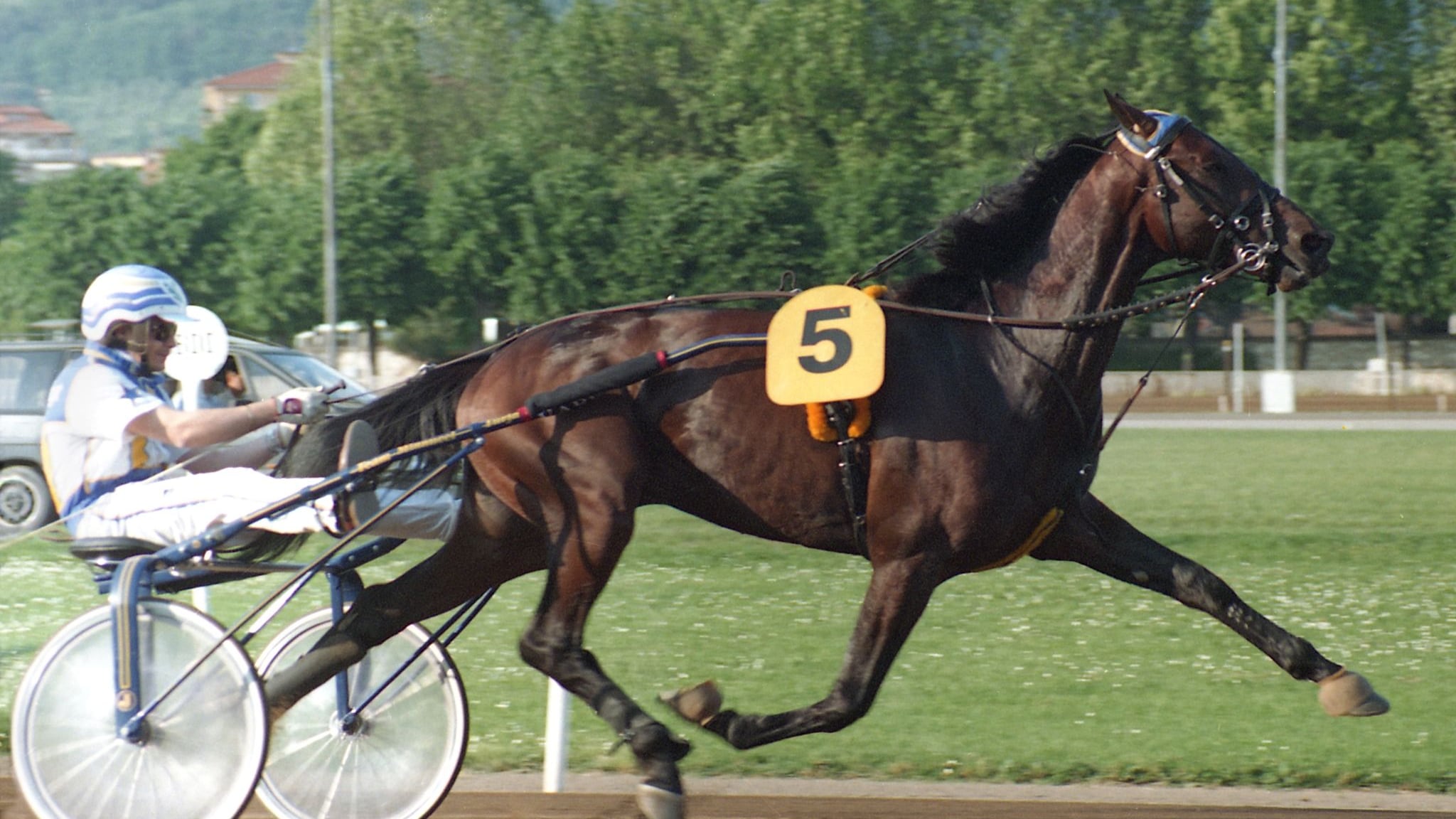 Snai Varenne