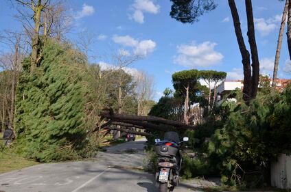 Il maltempo sull'Italia 5