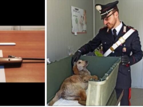 Non sopporta il cane accudito dalla vicina: prende il fucile e spara