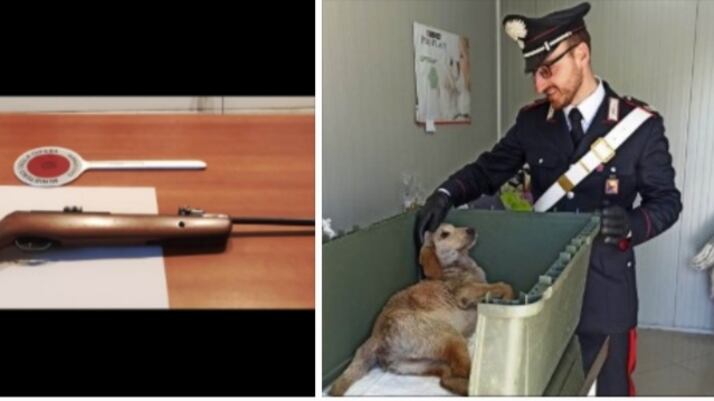 Non sopporta il cane accudito dalla vicina: prende il fucile e spara