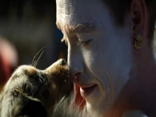 “Dogman”, il ritorno in purezza e bizzarria del grande Luc Besson