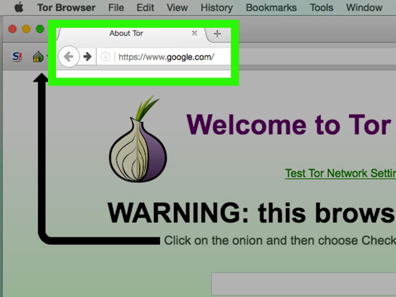 tor browser