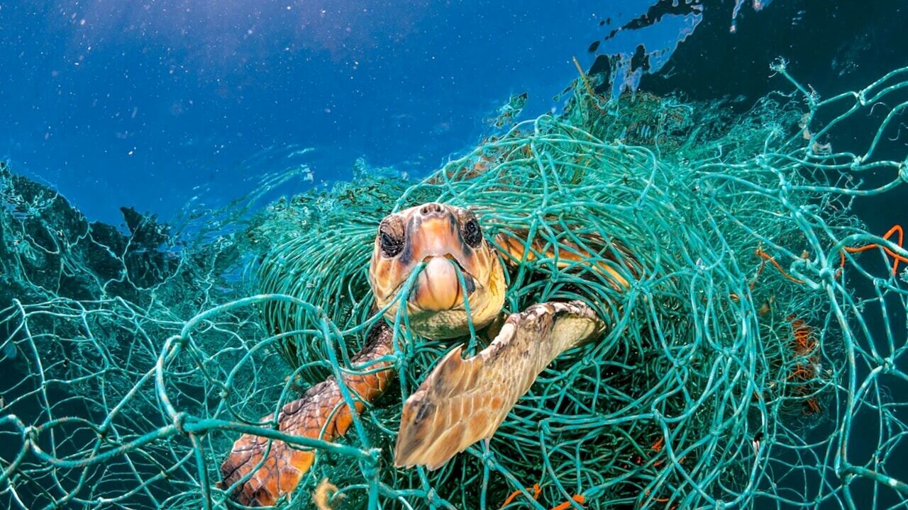 Mari e oceani invasi dalla plastica: le foto di National Geographic