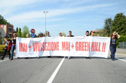 Allevamento Green Hill 4
