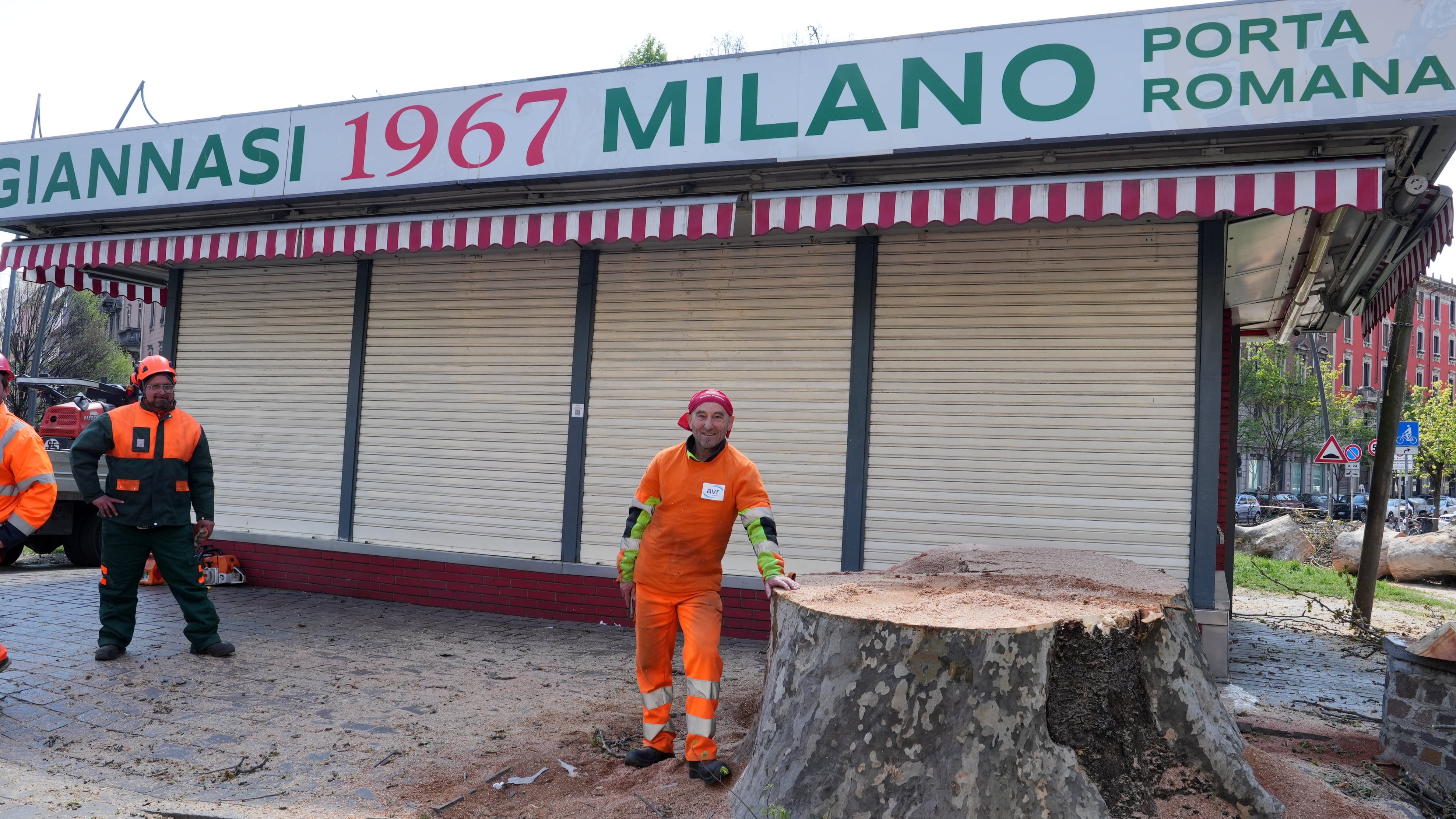 Addio al platano di "Giannasi". E 20mila firme per il glicine