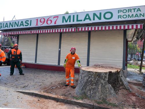 Addio al platano di "Giannasi". E 20mila firme per il glicine