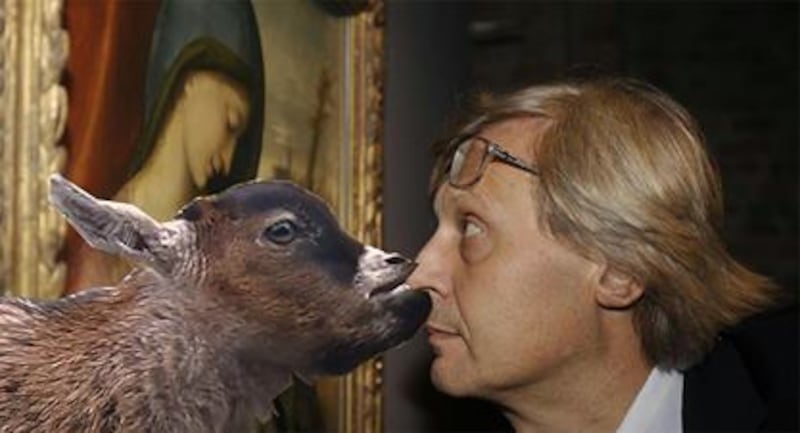 Vittorio Sgarbi invaso da immagini di gatti 11