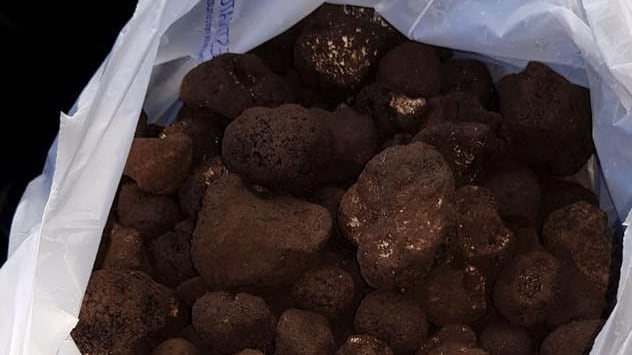 La sagra del tartufo finisce male: sette intossicati