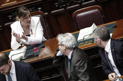 Boschi arcobaleno per la fiducia alle unioni gay 5