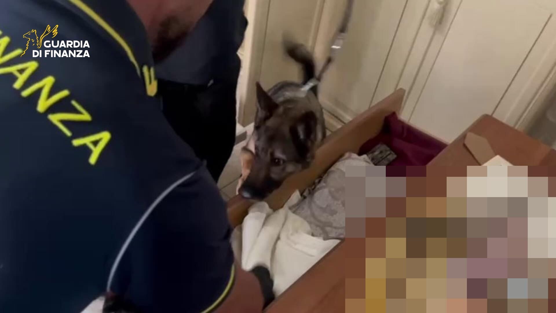 I rider della cocaina con zainetto e bici elettrica: sgominata la "drug delivery" alla palermitana