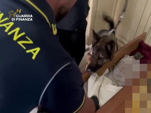 I rider della cocaina con zainetto e bici elettrica: sgominata la "drug delivery" alla palermitana