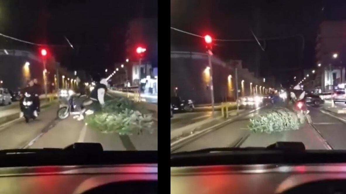 Rubano un albero di Natale e lo trascinano per strada. Il video choc