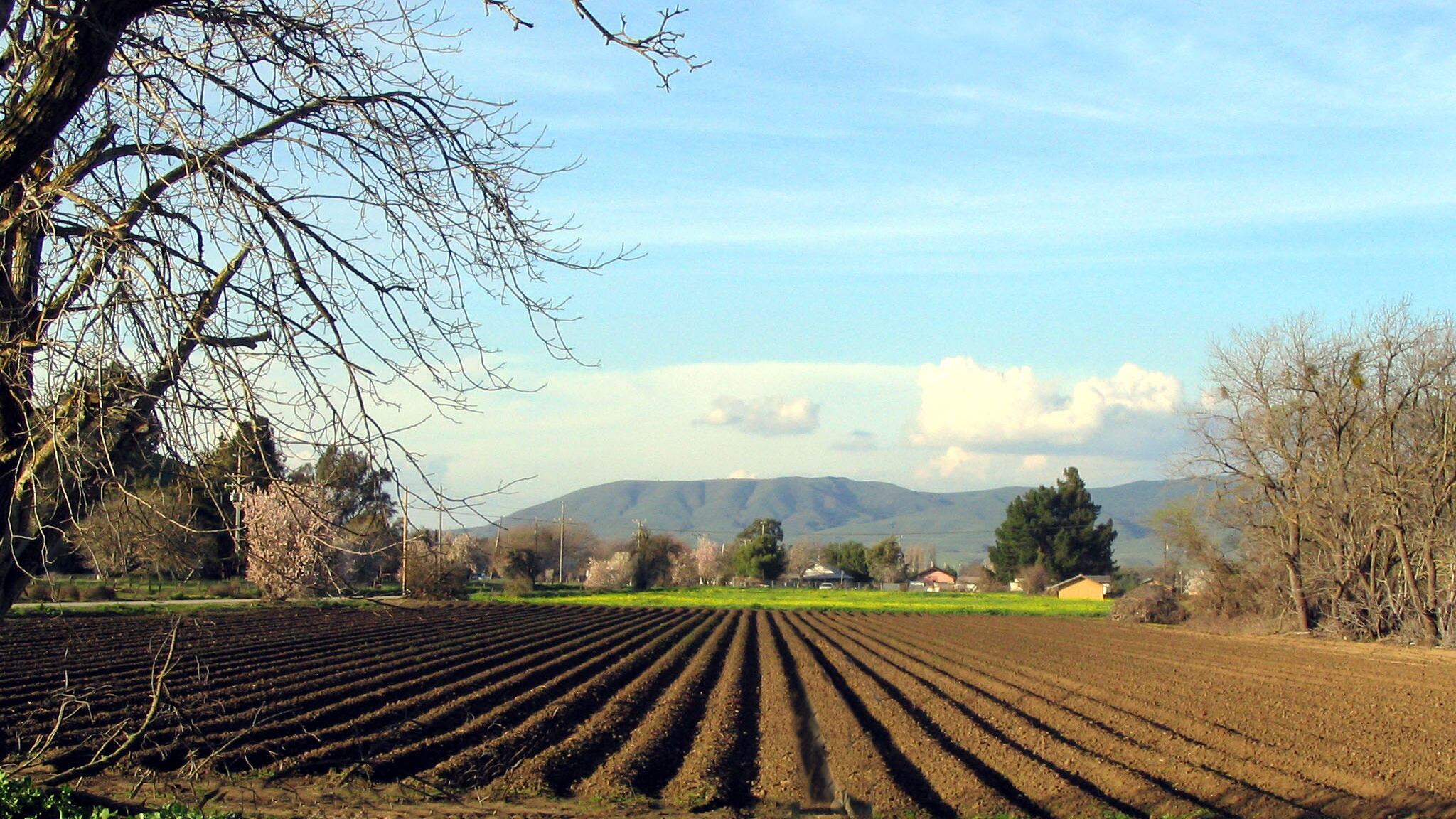 L'Imu agricola diventa legge. Forza Italia annuncia class action