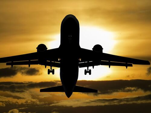 "Birdstrike", il fenomeno che mette a dura prova gli aerei in volo