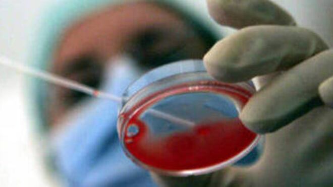 Via libera all'arma letale contro i tumori del sangue