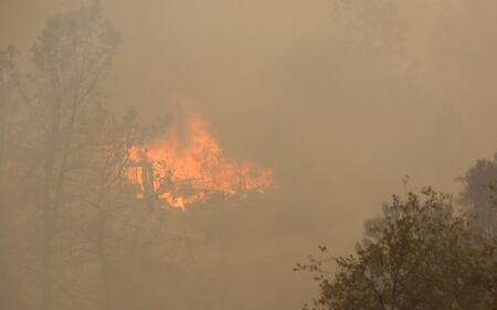 California divorata dalle fiamme. 400 case distrutte 17