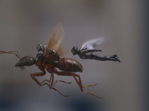 "Ant-Man & the Wasp": torna la freschezza in casa Marvel