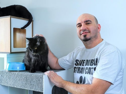 L'uomo che sta salvando cani e gatti da una strage