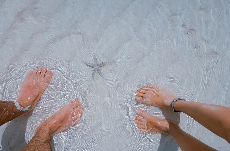 Piedi1