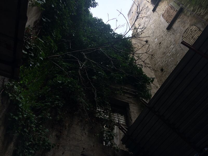 "Noi, ostaggio di degrado e topi nel centro antico di Napoli" 2