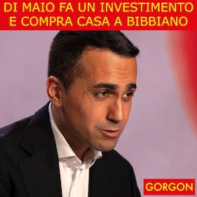 Ecco la satira del giorno. L'investimento di Di Maio 1