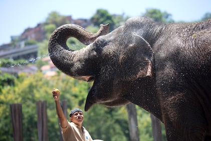 Attimi di vita quotidiana nello zoo 4