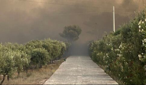 San Vito Lo Capo, le foto dell'incendio  4