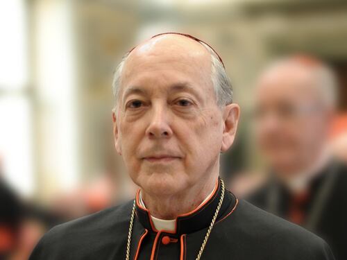 Le mosse dei cardinali e i veleni: "Per il 7 avremo il nome giusto"