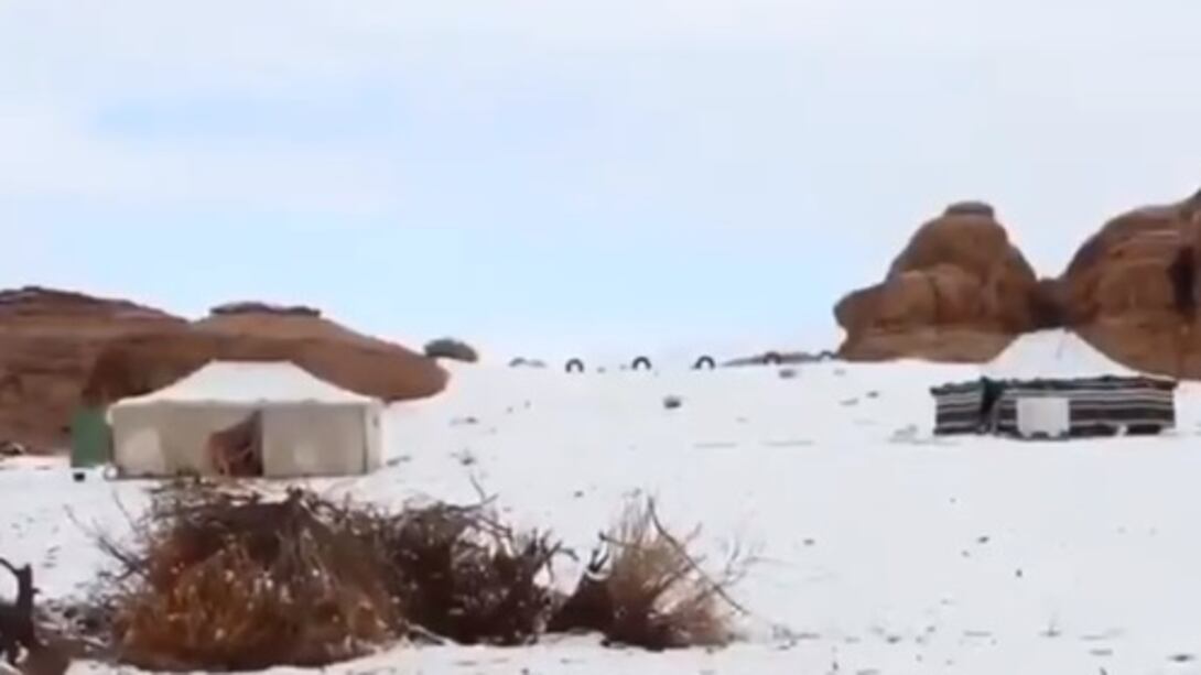 L'inverno al contrario: a Londra fioriscono rose e nel deserto c'è la neve