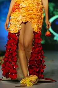 Sulle passerelle colombiane la moda è "biodegradabile" 8