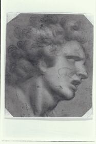 I presunti disegni di Michelangelo 5