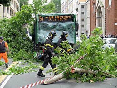 Milano, albero cade sull'autobus 5