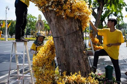 Bangkok, i preparativi per la cerimonia d'incoronazione del Re 6